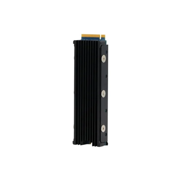 Exascend 2TB M.2 SSD PS5