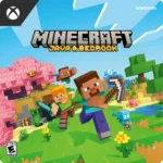 Minecraft for PC